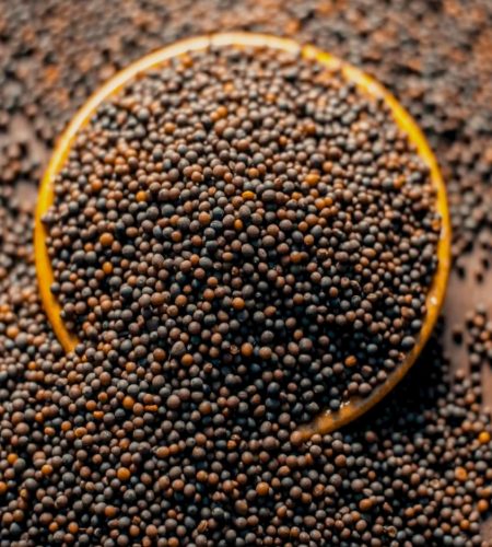 Untitled design (11)